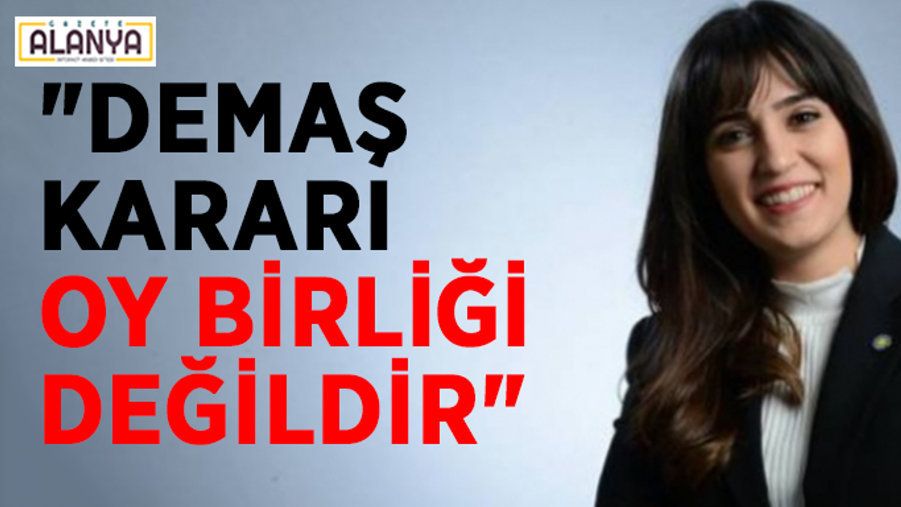 Meclis üyesi Didem Dim Özaltın: "DEMAŞ kararı oy birliği değildir"
