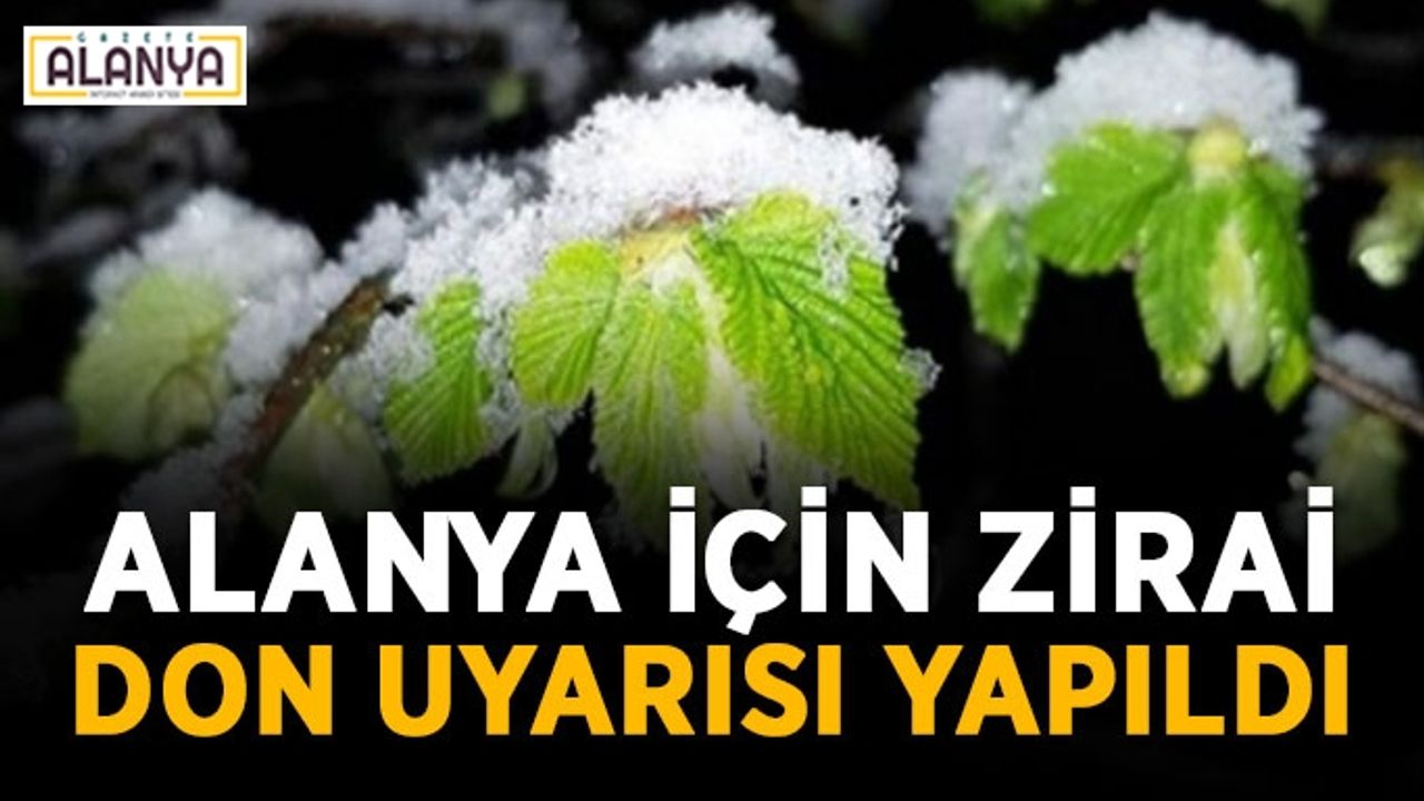 Alanya için zirai don uyarısı yapıldı
