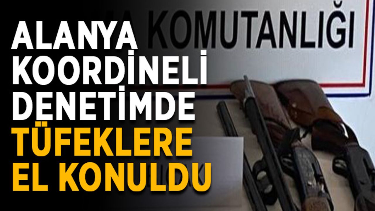 Alanya koordineli denetimde tüfeklere el konuldu