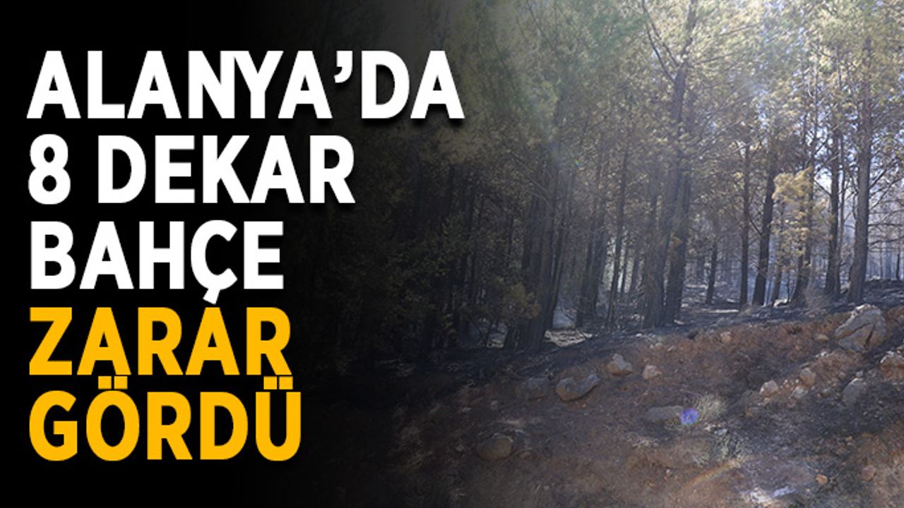 Alanya’da 8 dekar bahçe zarar gördü