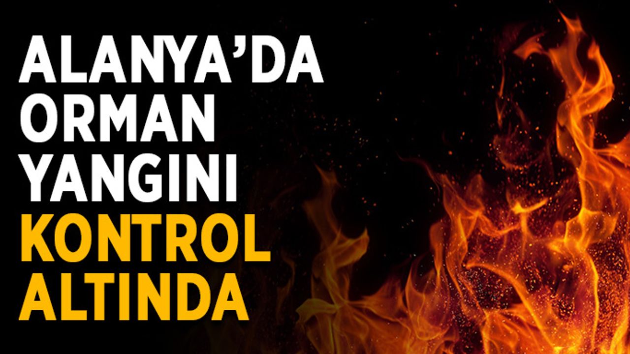 Alanya’da orman yangını kontrol altında