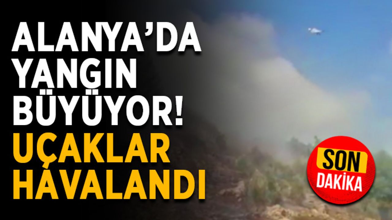 Alanya’da yangın büyüyor! Uçaklar havalandı