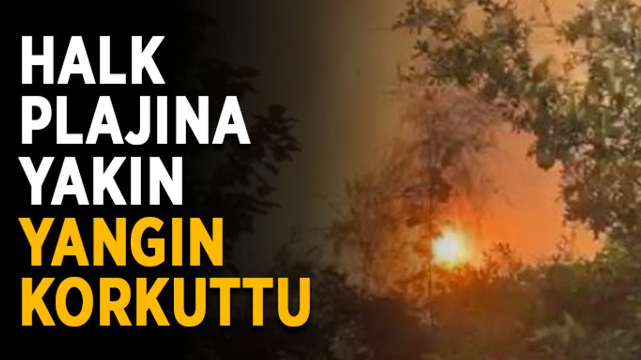 Halk plajına yakın yangın korkuttu