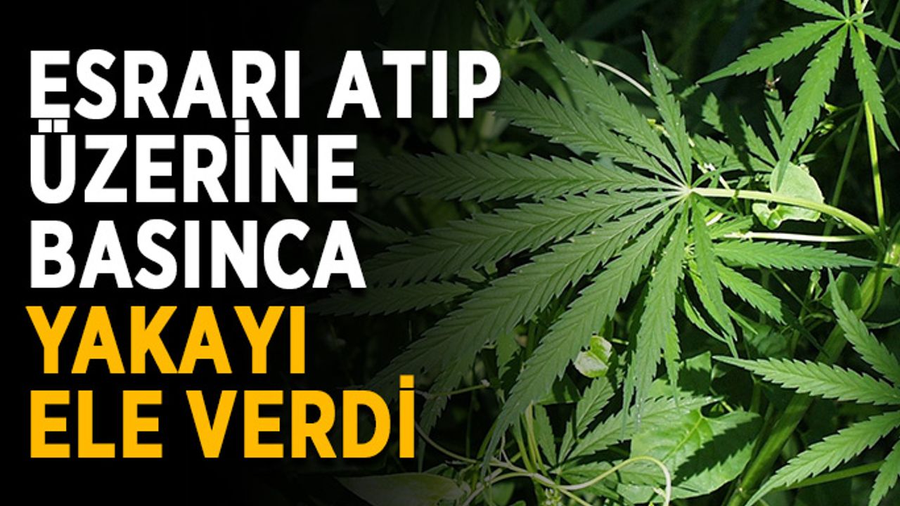 İçinde uyuşturucu bulunan paketi yere attılar