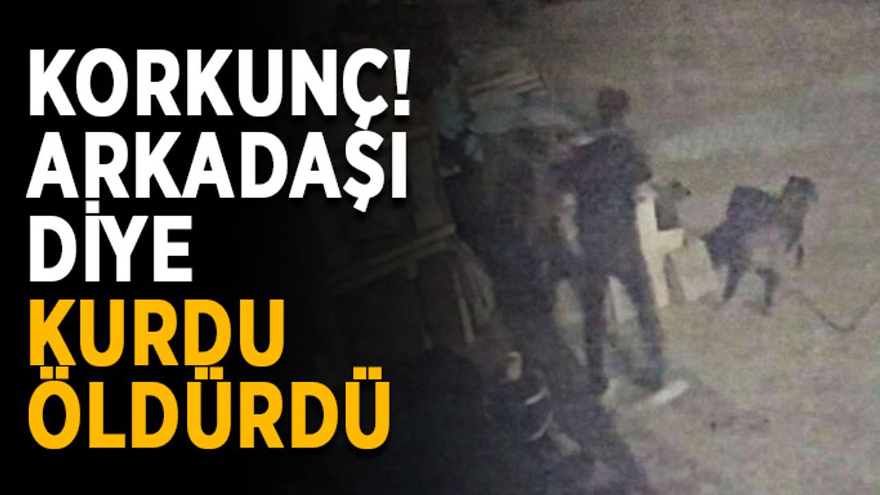 "Köpek Şahin'i vurdum, sıra gerçek Şahin'de"