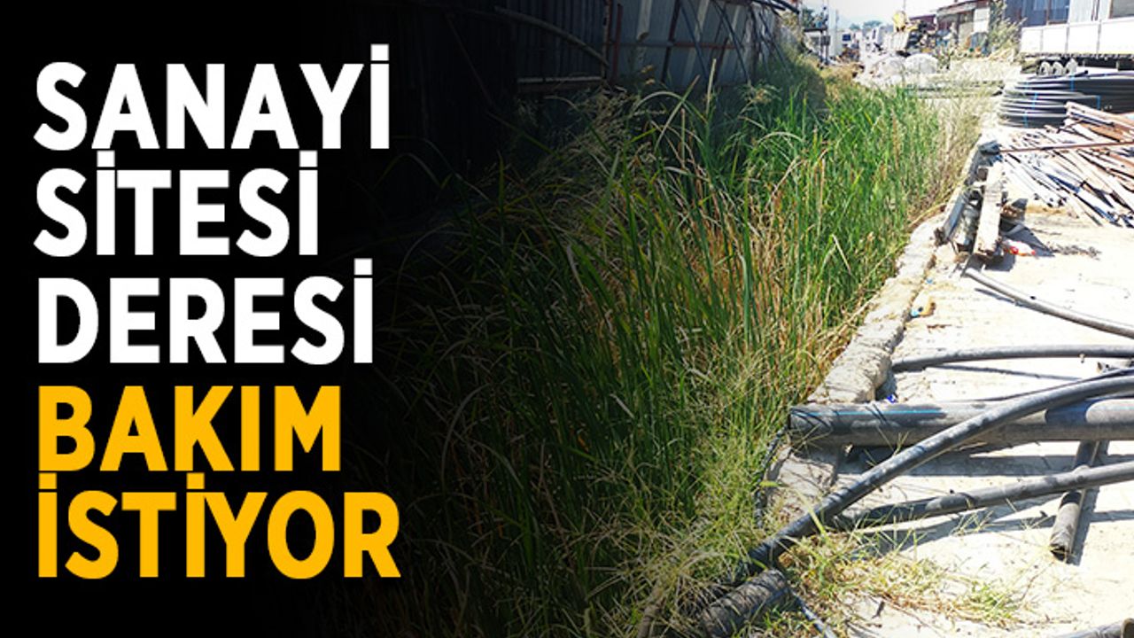 Sanayi sitesi deresi bakım istiyor