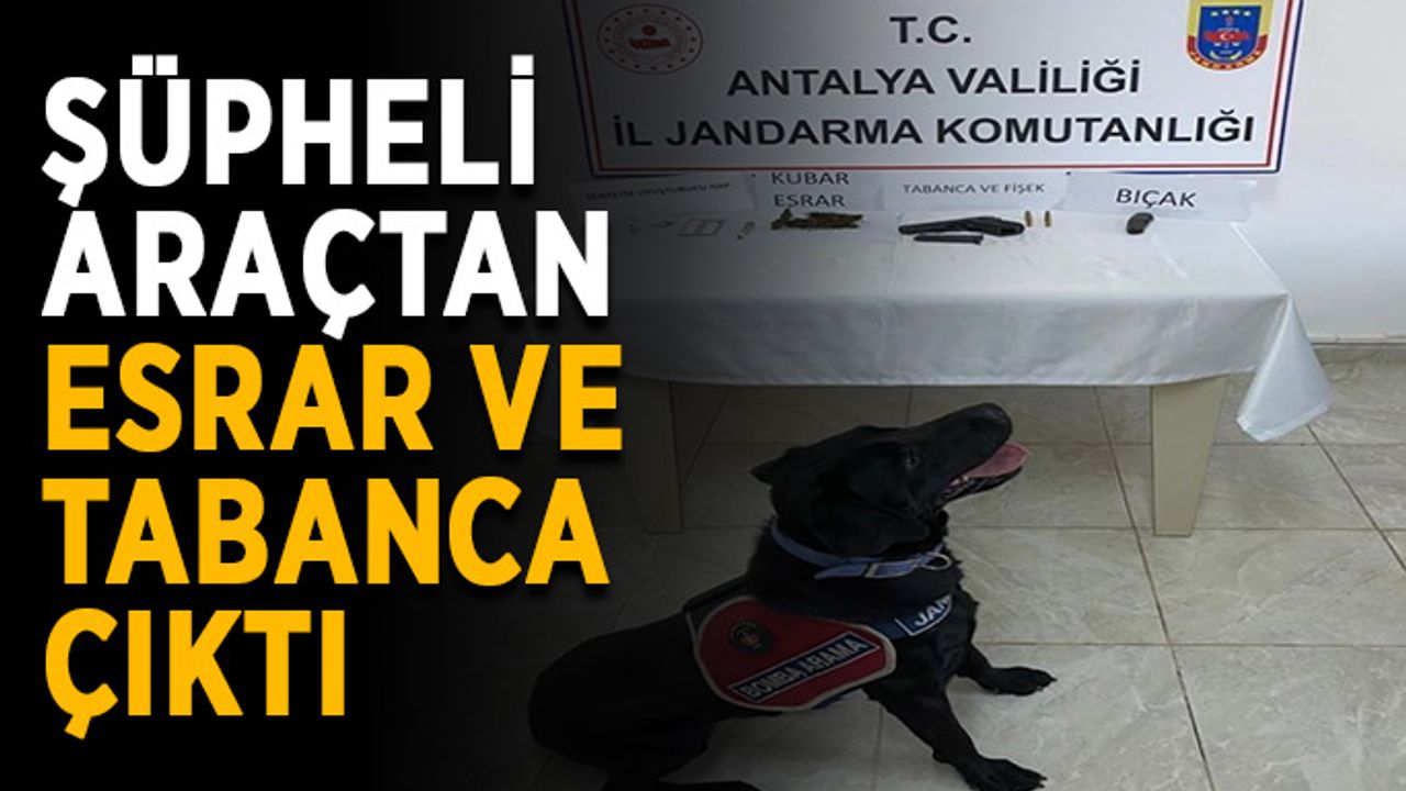 Şüpheli araçtan esrar ve tabanca çıktı