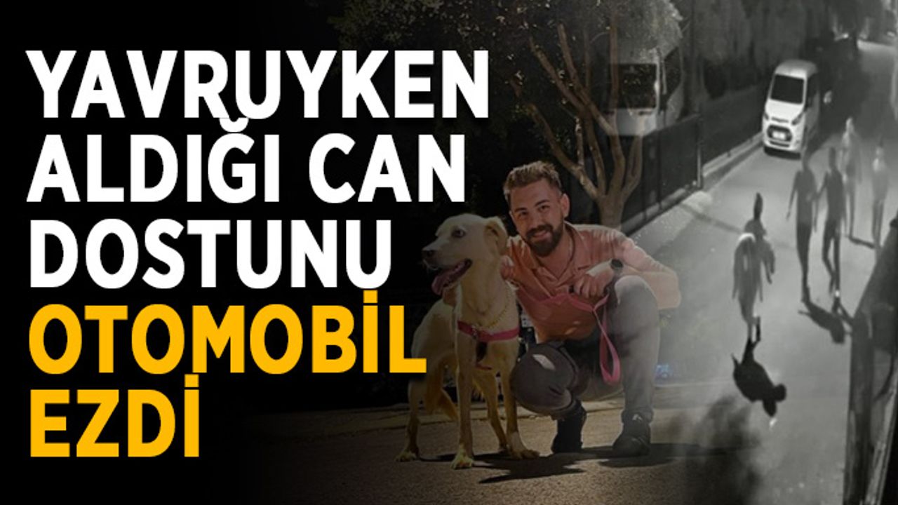 Yavruyken aldığı can dostunu otomobil ezdi