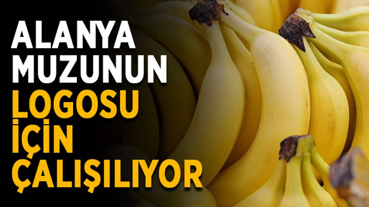 Alanya muzunun logosu için çalışılıyor