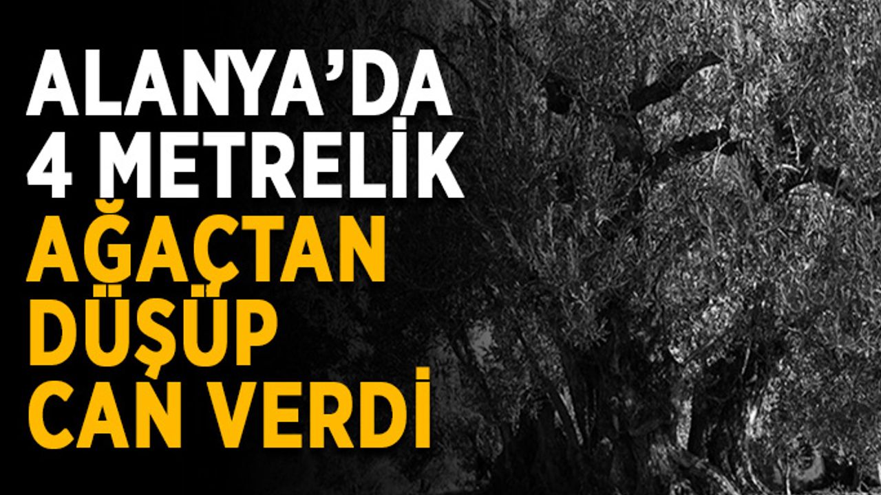 Alanya’da 4 metrelik ağaçtan düşüp can verdi