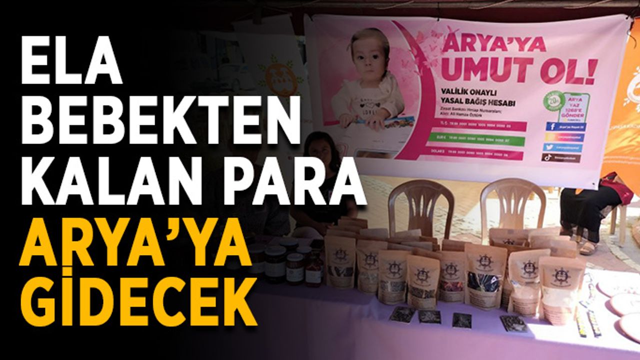 Ela bebekten kalan para Arya bebeğe gidecek