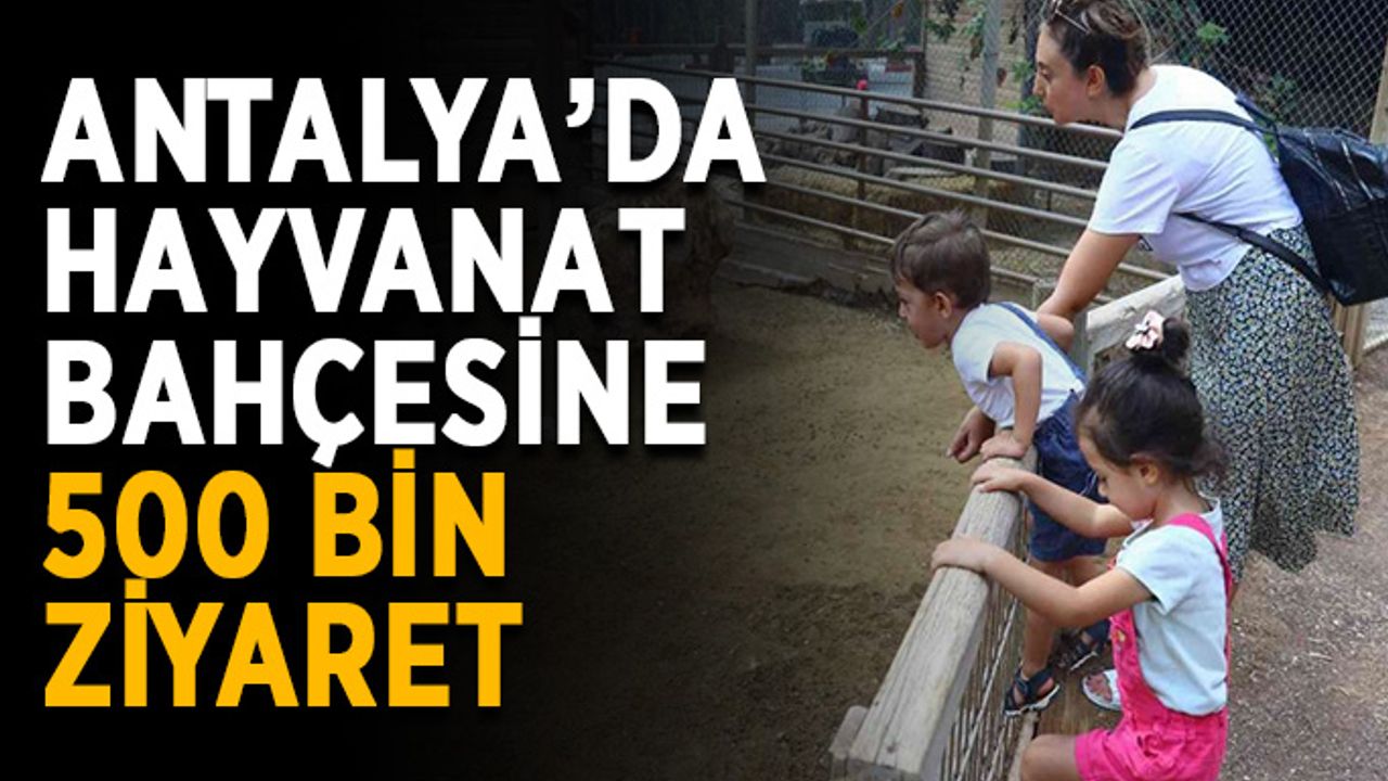 Hayvanat bahçesini 500 bin kişi ziyaret etti