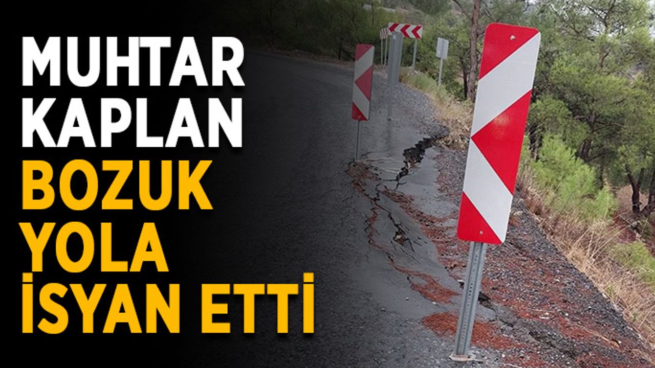 Muhtar Kaplan bozuk yola isyan etti
