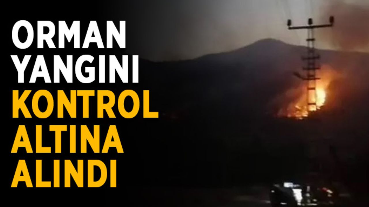 Orman yangını kontrol altında alındı