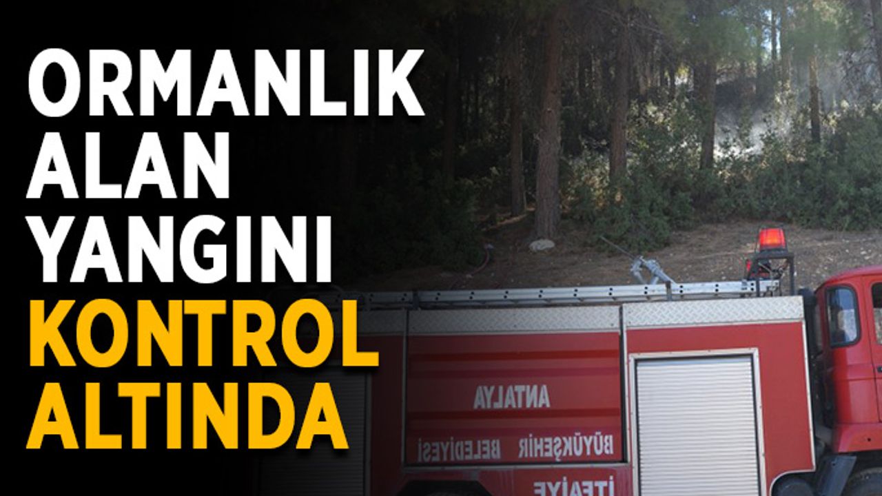 Ormanlık alan yangını kontrol altında