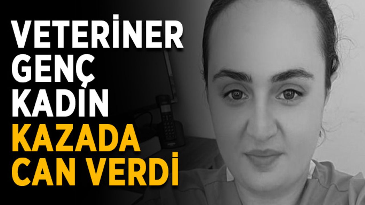 Veteriner genç kadın kazada can verdi