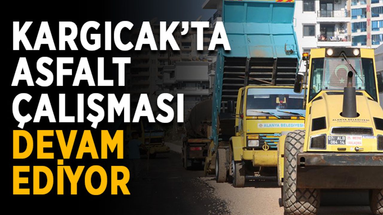 Kargıcak’ta asfalt çalışması devam ediyor