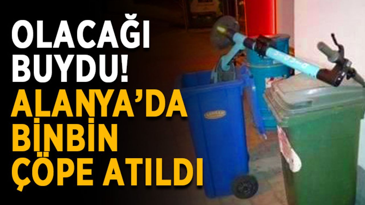 Olacağı buydu! Alanya’da binbin çöpe atıldı