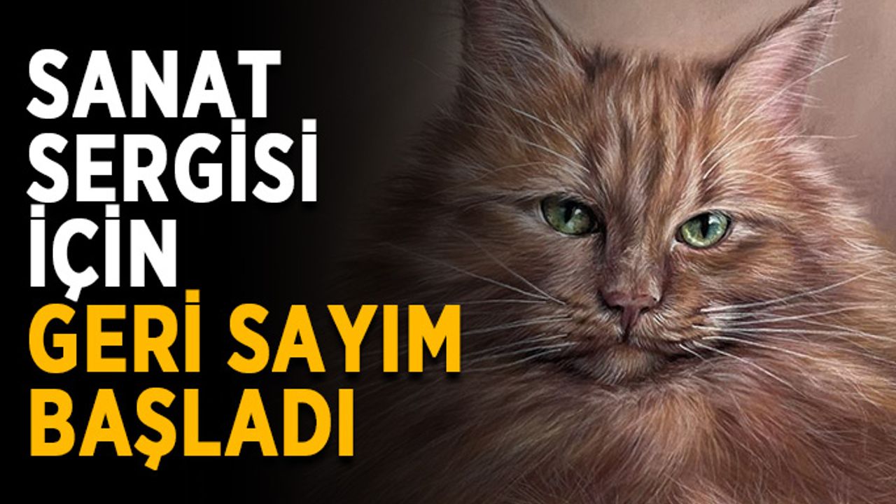 Sanat sergisi için geri sayım başladı