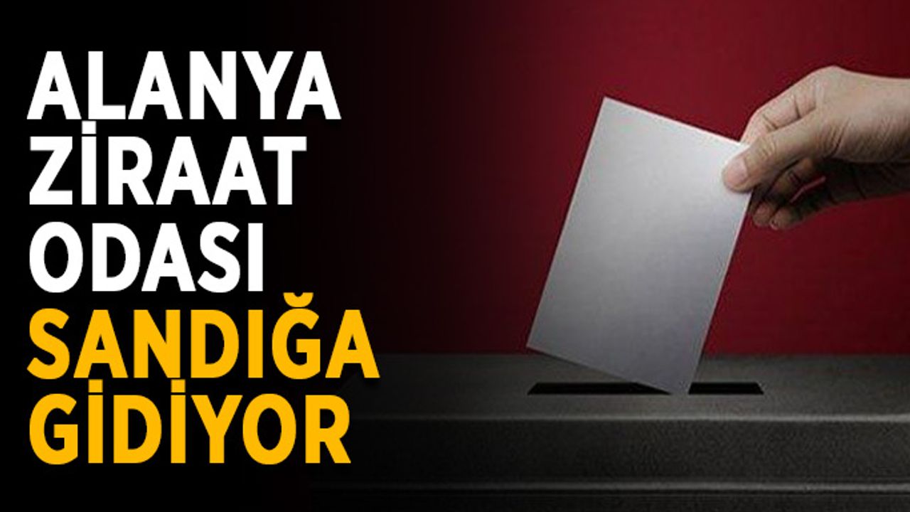 Alanya Ziraat Odası sandığa gidiyor