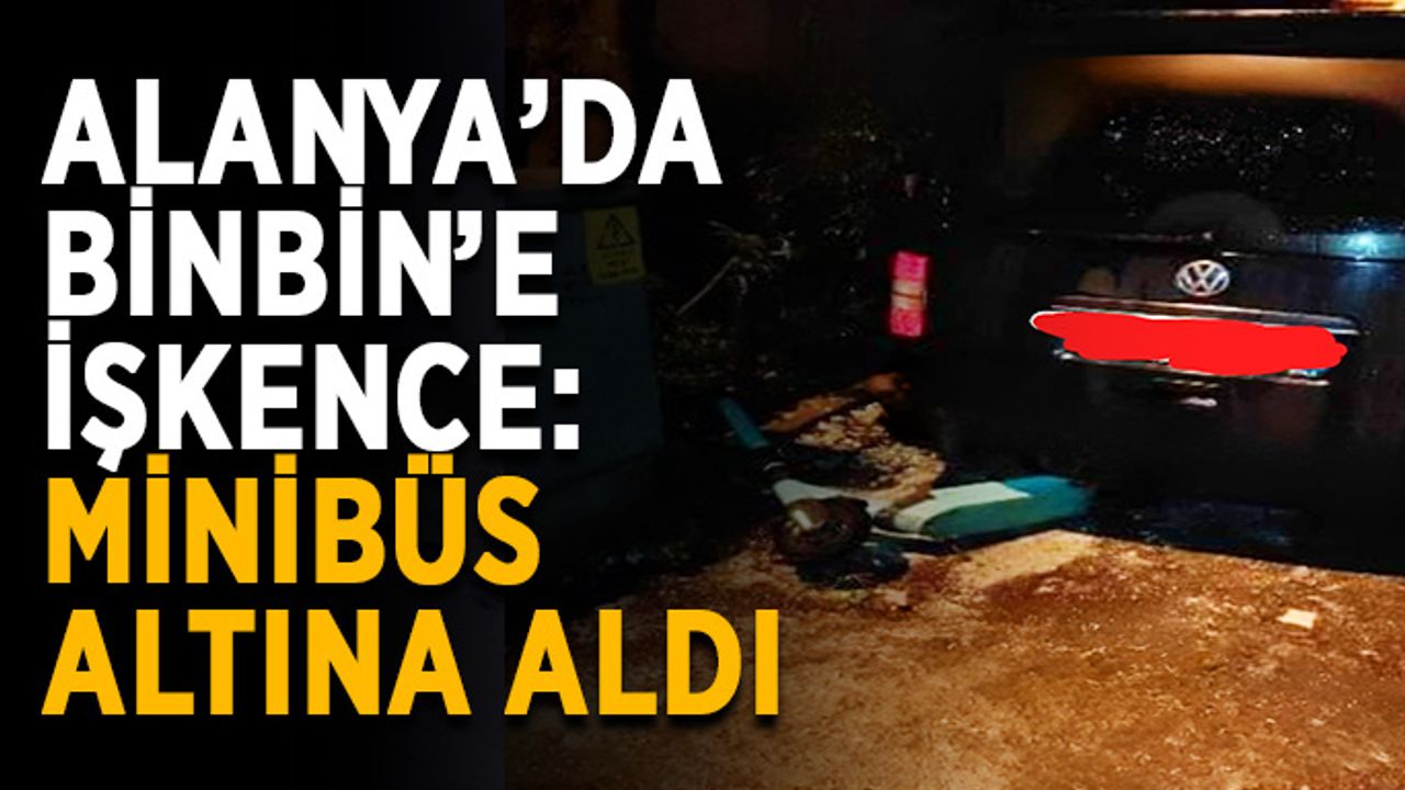 Alanya’da BinBin’e işkence: Minibüs altına aldı