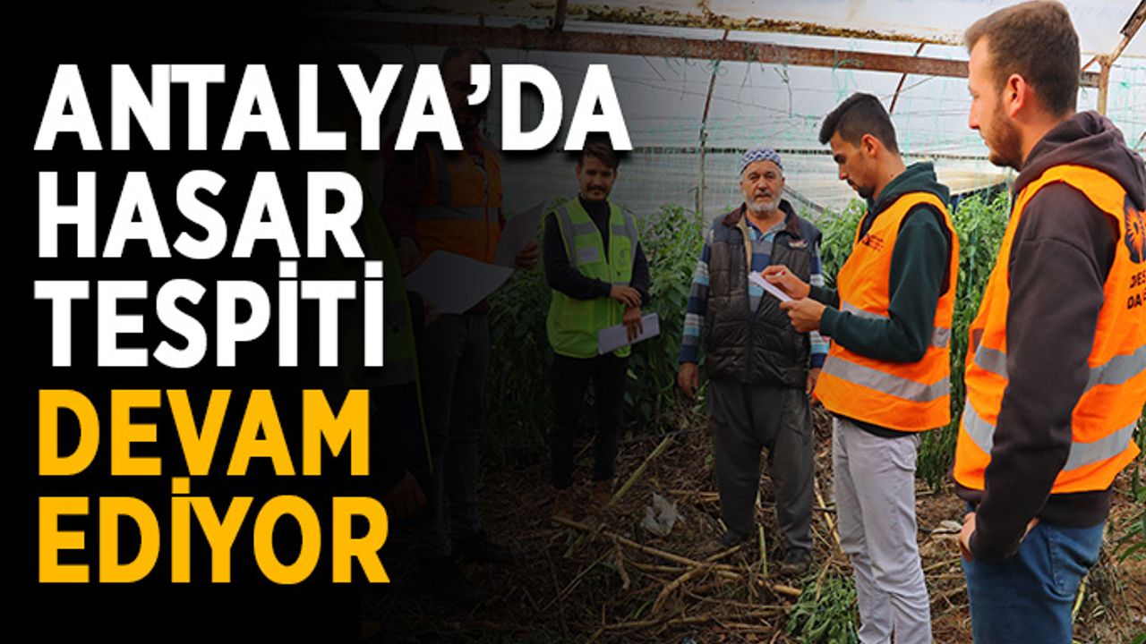 Antalya’da hasar tespiti devam ediyor