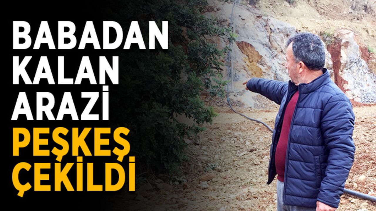 Babasından kalan 2B arazisi başkalarına peşkeş çekildi