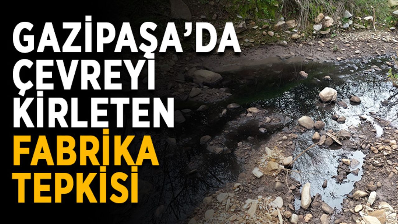 Çevreyi kirleten zeytinyağı fabrikalarına tepki yağıyor