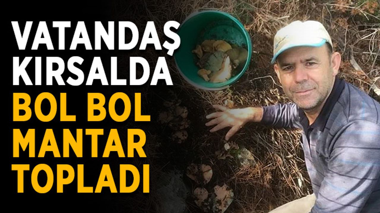 Vatandaş kırsalda bol bol mantar topladı