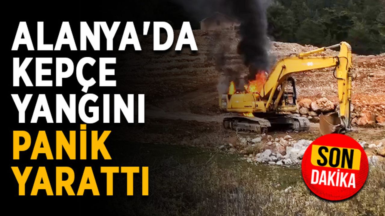 Alanya'da kepçe yangını panik yarattı