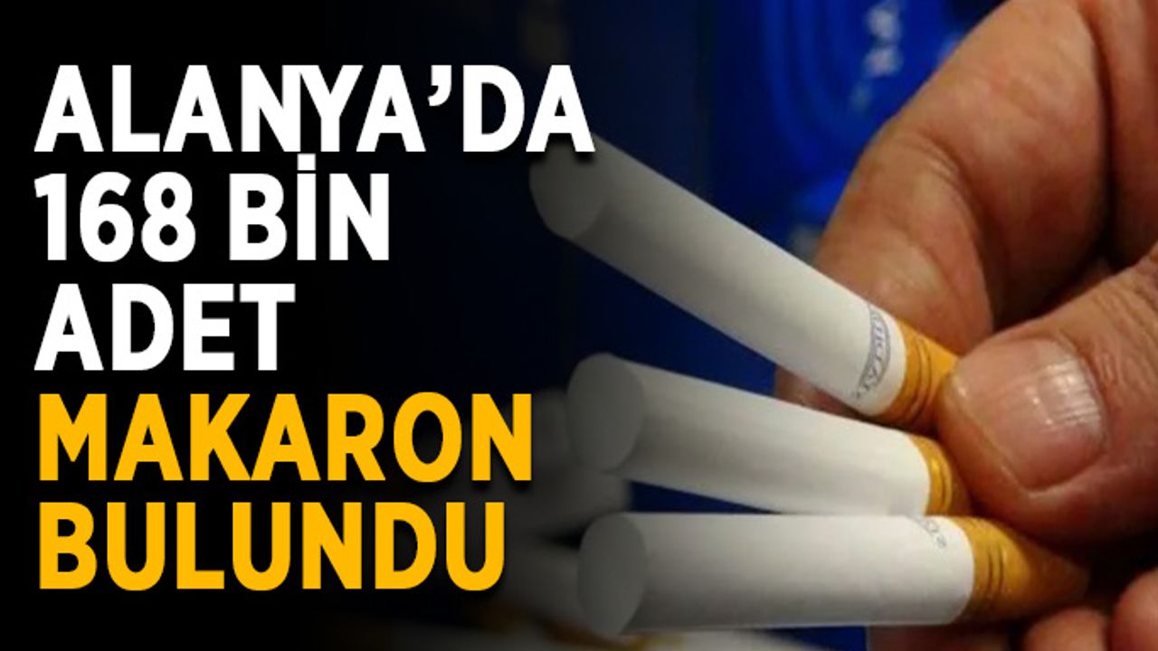 Alanya’da 168 bin adet makaron bulundu