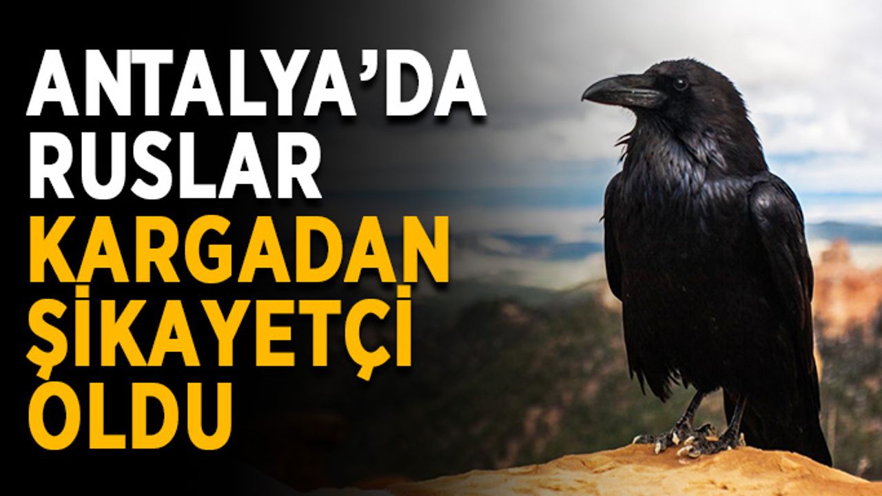Antalya’da Ruslar karga sesi duymak istemiyor