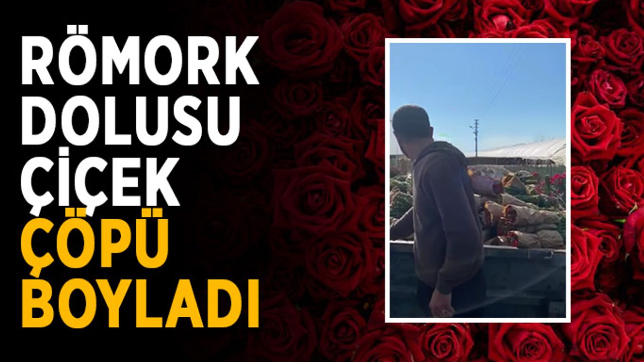 Römork dolusu çiçek çöpü boyladı