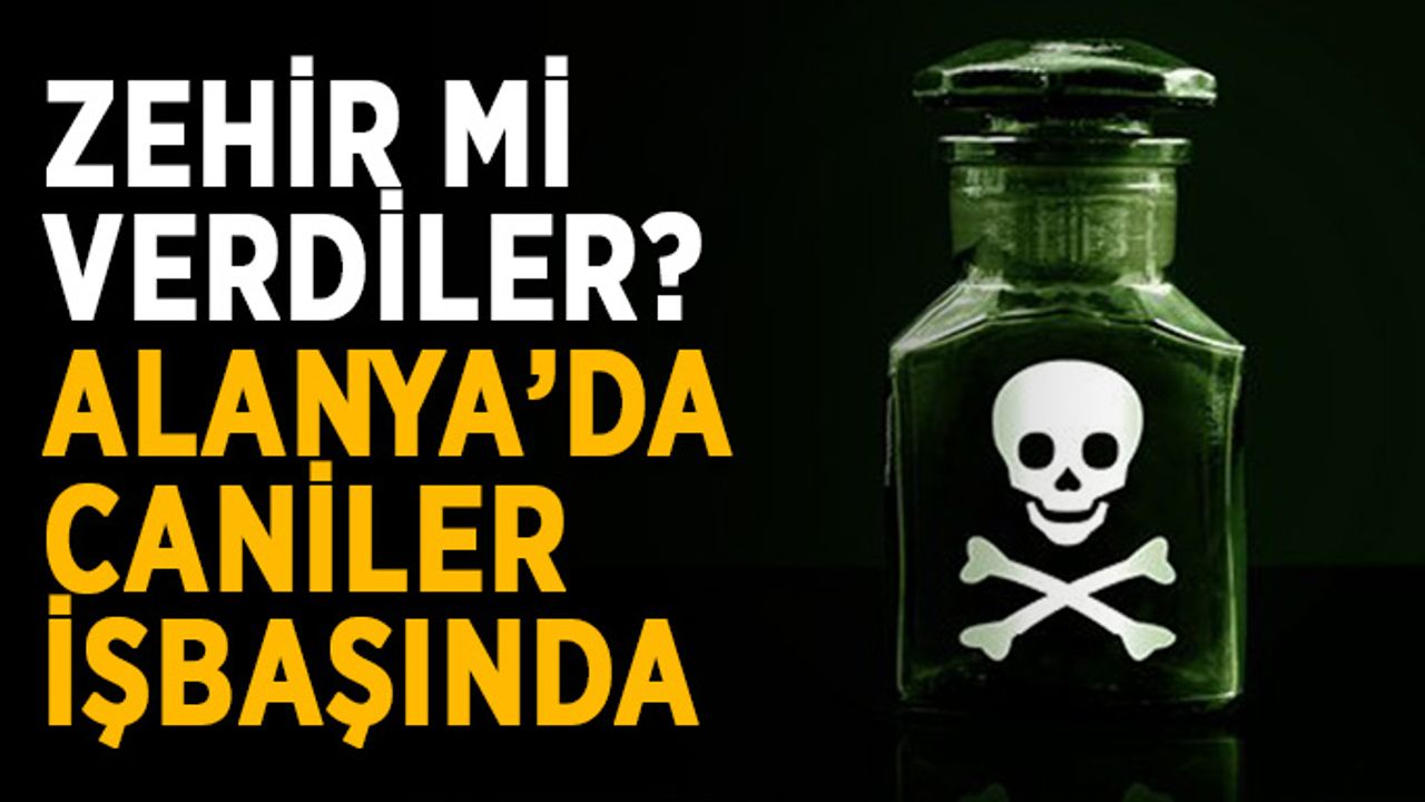 Zehir mi verdiler? Alanya’da caniler işbaşında