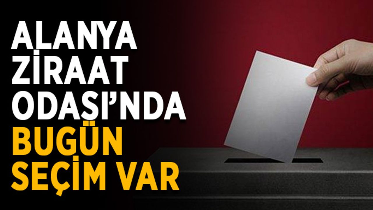 Alanya Ziraat Odası’nda bugün seçim var