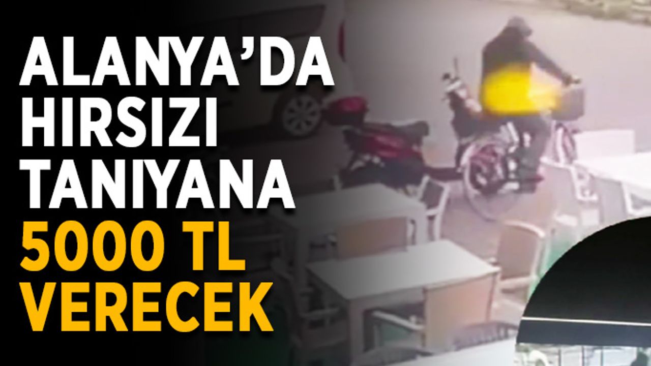 Alanya’da hırsızı tanıyana 5000 TL verecek