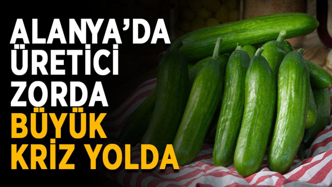 Alanya’da üretici zorda, büyük kriz yolda