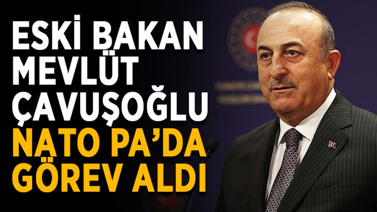 Alanyalı Çavuşoğlu’na uluslararası yeni görev