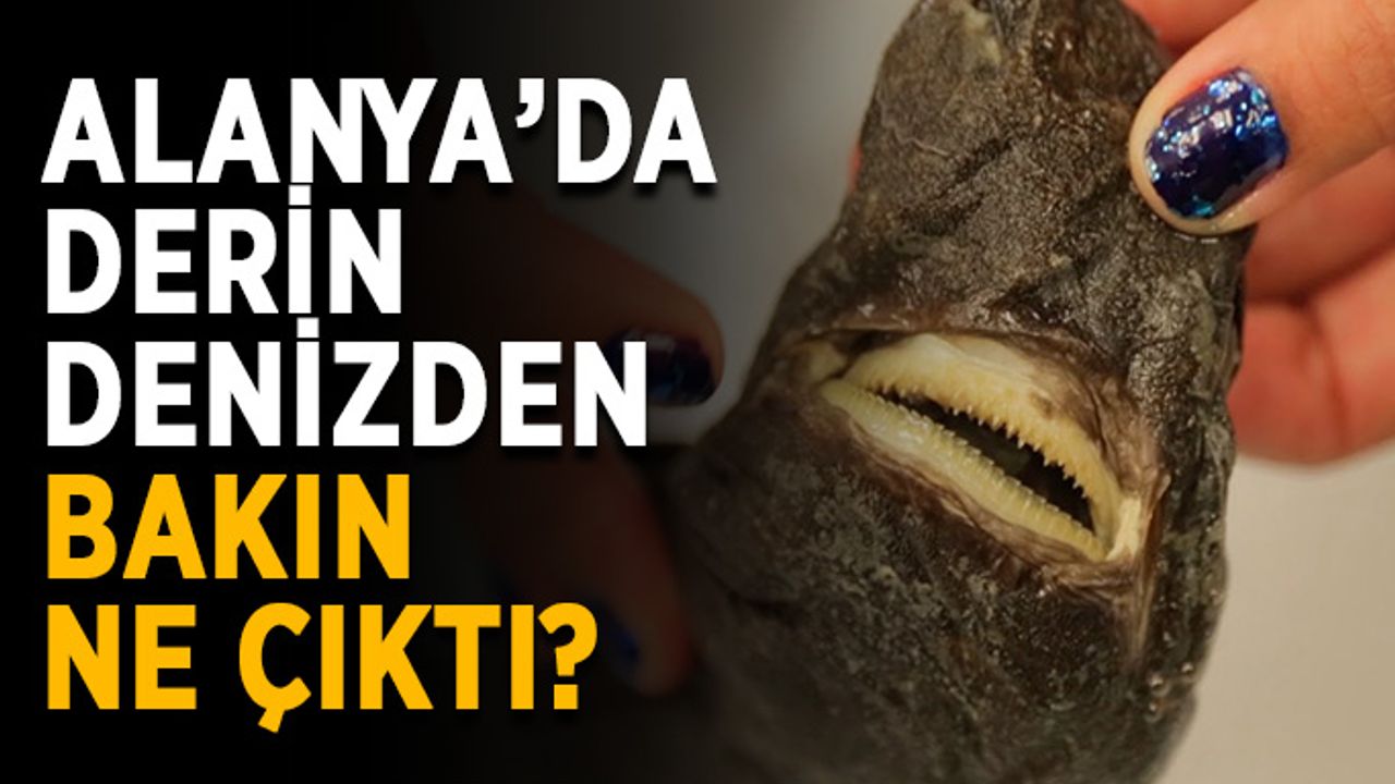 Alanya’da derin denizden bakın ne çıktı?