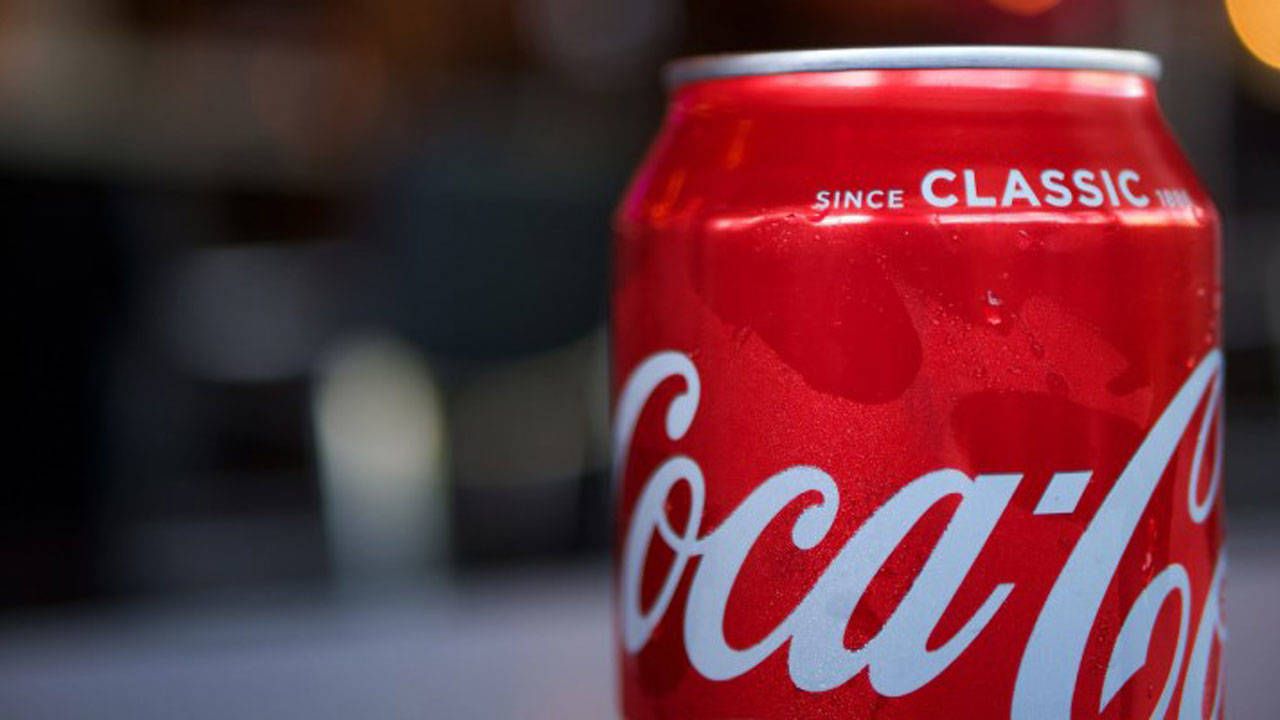 Devlet destek veriyor: Coca-Cola’ya dev teşvik