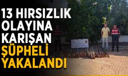 13 hırsızlık olayına karışan şüpheli yakalandı