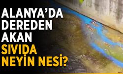 Alanya’da dereden akan sıvıda neyin nesi?