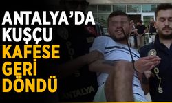 Antalya’da kuşçu kafese geri döndü