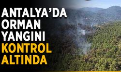 Antalya’da orman yangını kontrol altında