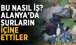 Bu nasıl iş? Alanya’da surların içine ettiler
