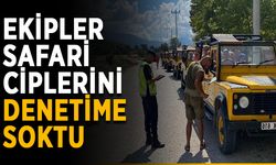 Ekipler safari araçlarını denetime soktu