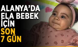 Ela bebek için son 7 gün