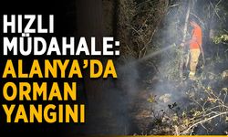Hızlı müdahale: Alanya’da orman yangını