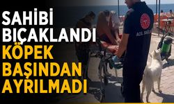 Sahibi bıçaklandı, köpek başından ayrılmadı