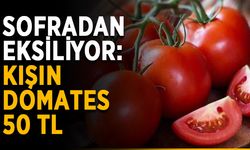 Sofradan eksiliyor: Kışın domates 50 TL